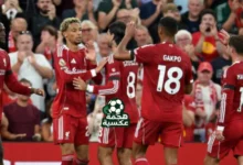 موعد مباراة ليفربول القادمة ضد نيوكاسل ضمن الجولة الثانية من الدوري الإنجليزي 2025-2026