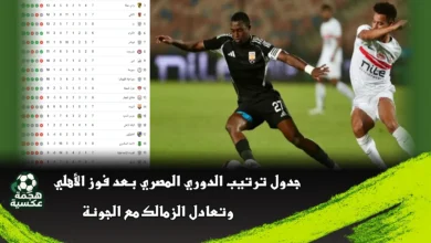 جدول ترتيب الدوري المصري بعد الجولة الثامنة